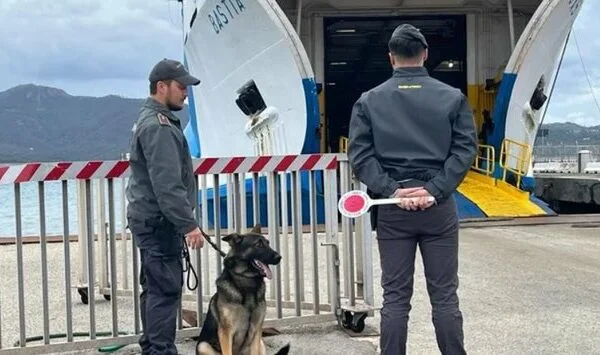 Albanian directorial criminal group destroyed in Italy, in chains four people