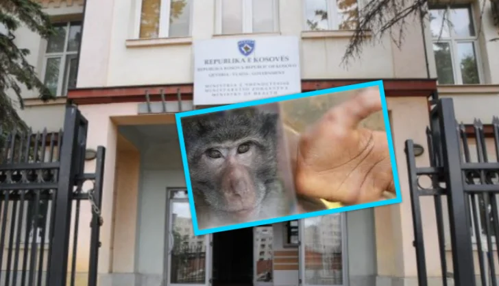 Lia e Majmunit, IKSHP jep këshilla për qytetarët që udhëtojnë në vendet e Afrikës