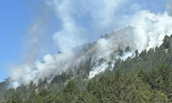 A small fire was allegedly turned into a massive fire, as the Prevala faced 10 days of fires in the mountains