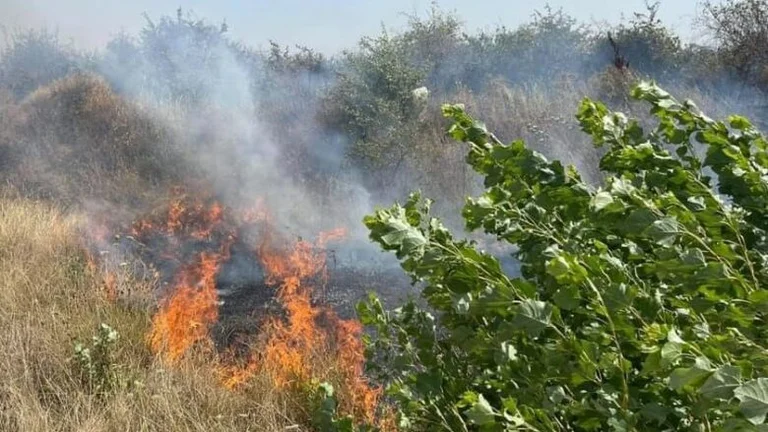 Trente-cinq cas d ' incendies se sont produits sur le territoire de Suhareka pendant deux semaines.
