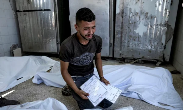 Newborn twins killed by an Israeli attack on Gaza while their father was recording them
