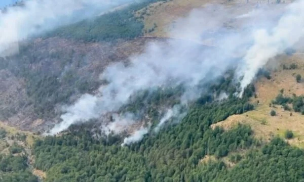 L'Albania affronta numerosi incendi, alte temperature