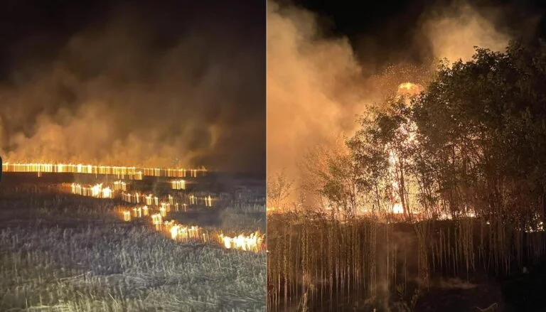 Firefighters in trouble, including the flames of three Suhareka locations