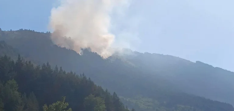Feuer in Nationalpark Sarri, KFOR, KSF-Hilfe erforderlich