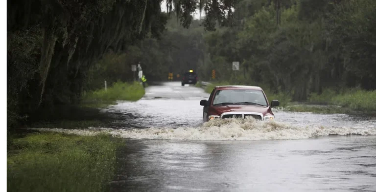Four dead after Debby storm hits Florida