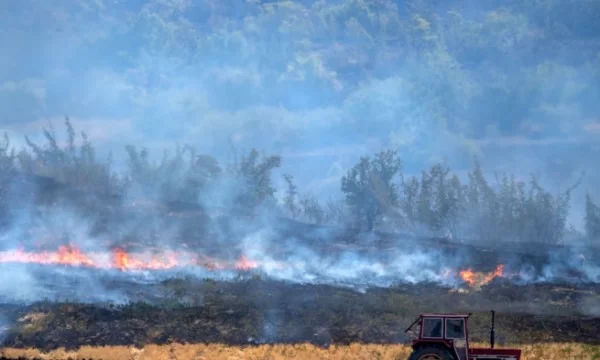 Nine Fires Active in Northern Macedonia