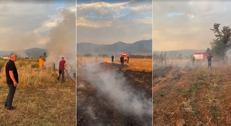 Fuoco in Museo, presidente in campo con i pompieri