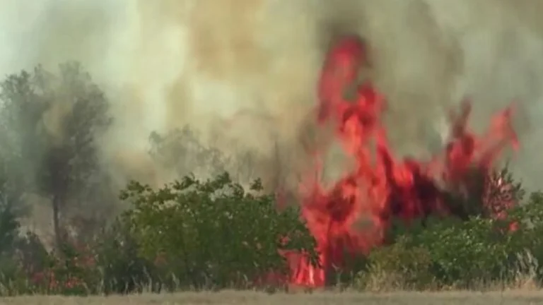 Les incendies brûlent le nord de la Macédoine, situation alarmante dans plusieurs régions