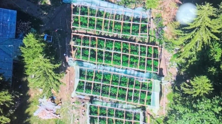 Quatre serres plantées dans les montagnes Decani