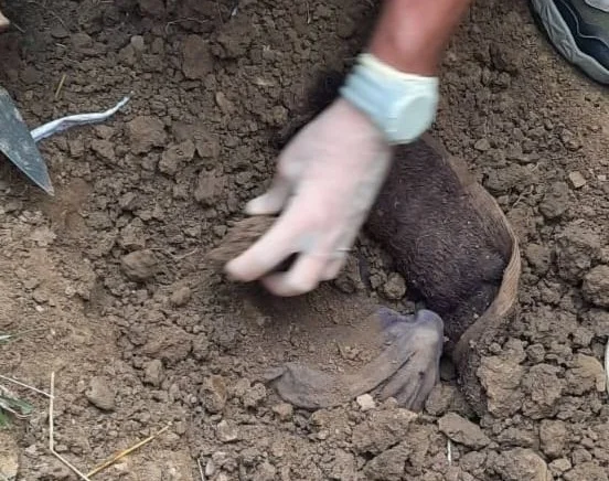 Mortore rimane trovato a Podujevo, sospettato di essere di un individuo scomparso dalla guerra