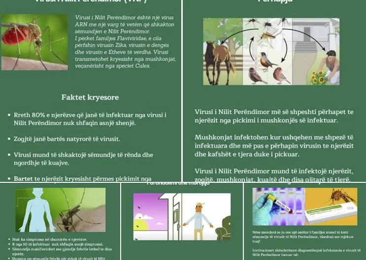 IK KPS pide cuidado de picaduras de mosquito debido a un virus