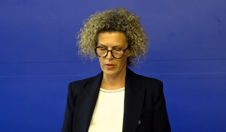 PDK: EU visa decision with illegal Serbian harmful passports, government failed to protect state interest
