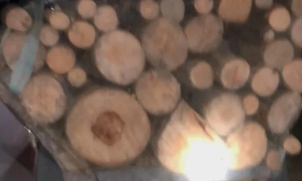 Er wurde gefangen genommen, nachdem er Bäume in den staatlichen Wäldern in Jezerc geschnitten hatte, der Verdächtige wurde 48 Stunden lang eingesperrt.