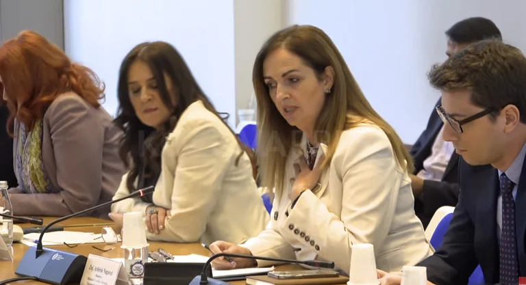 Live në Komision: Nagavci ua përmend ‘cilësinë në arsim’ Këshillit Grevist