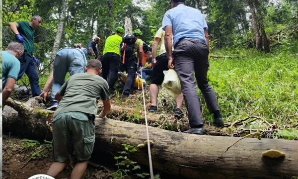 Es wird vermutet, dass es in die Klippe rutschte, da es Bergtee sammelt, neue Details über den Tod von 70-jährigen in der Nemuna Bees entstehen.