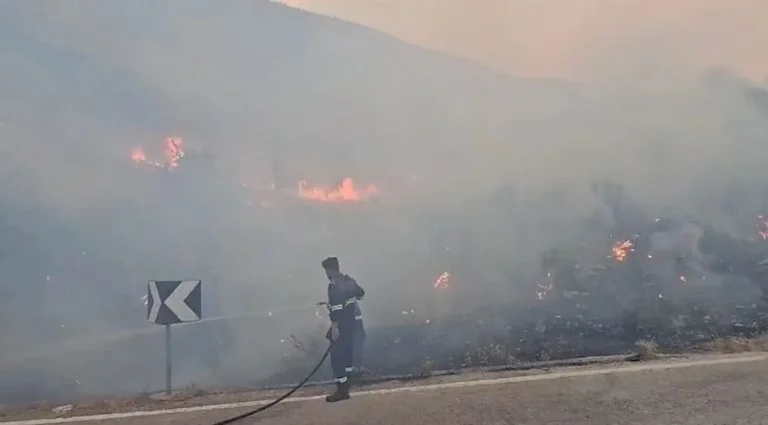 L'Albania's Far Mountain Sword Fire-Chiefed
