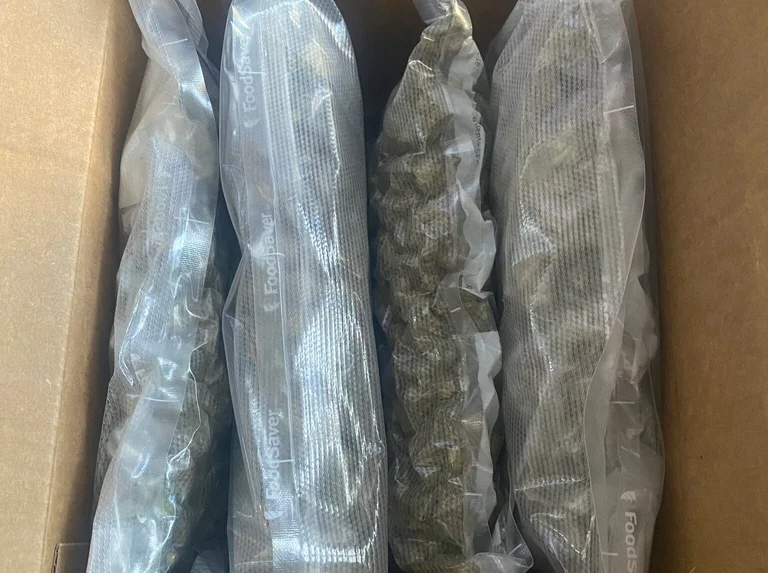 Zoll beschlagnahmt 1 Kilogramm Cannabis, wurde per Mail aus Amerika eingeführt