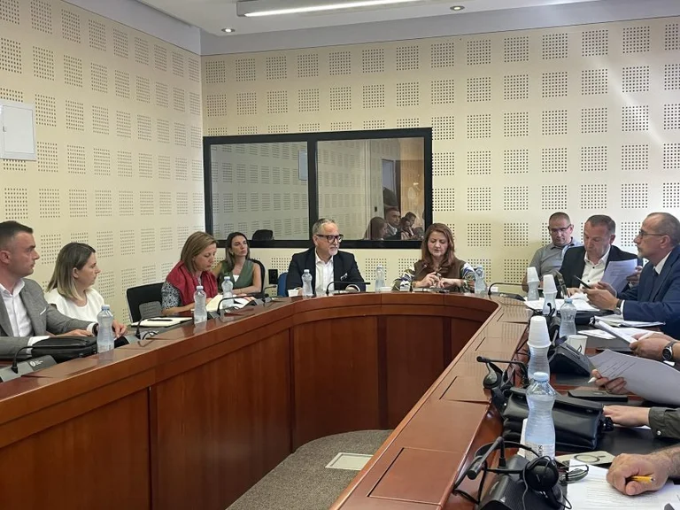MP Haxhiu critica l'anno: A questo ritmo, si completerà il mandato senza un elenco formale dei prezzi della droga