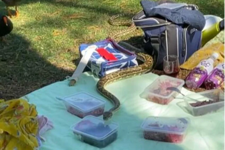 How can you avoid the bite of a snake? Just do that and the poison will quickly escape.