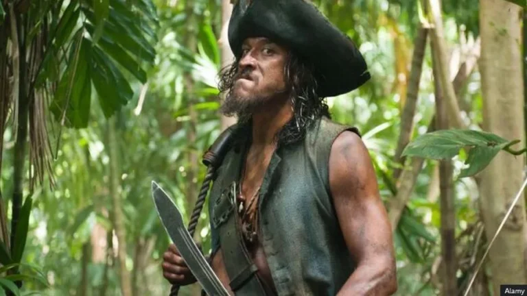 Shark attack and loss “Caribbean Pirates”