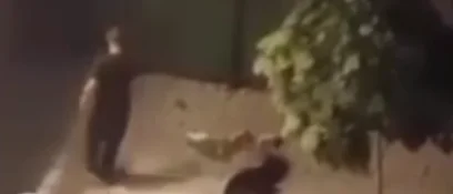 Pamje shokuese teksa një burrë e rrah brutalisht një grua në Prizren (VIDEO)