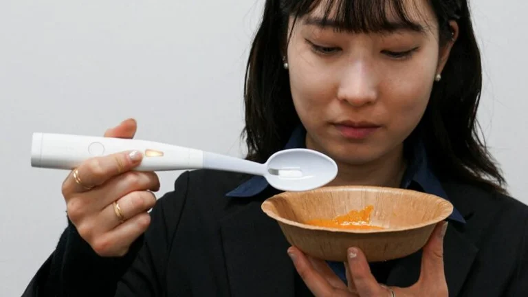 Las cucharas eléctricas de Japón venden que hacen más salada la comida