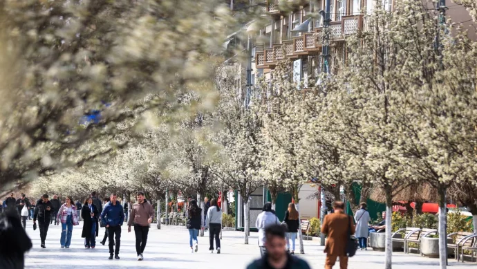 AFP for Kosovo census: Population declines from 1.8 million to 1.5 million