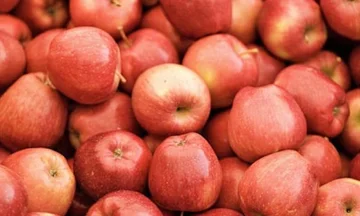 I cardiologi scoprono quali frutti mangiare ogni giorno per rafforzare la salute del vostro cuore