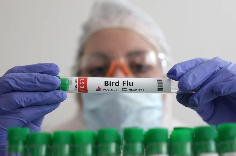Australia reports first human bird flu infection