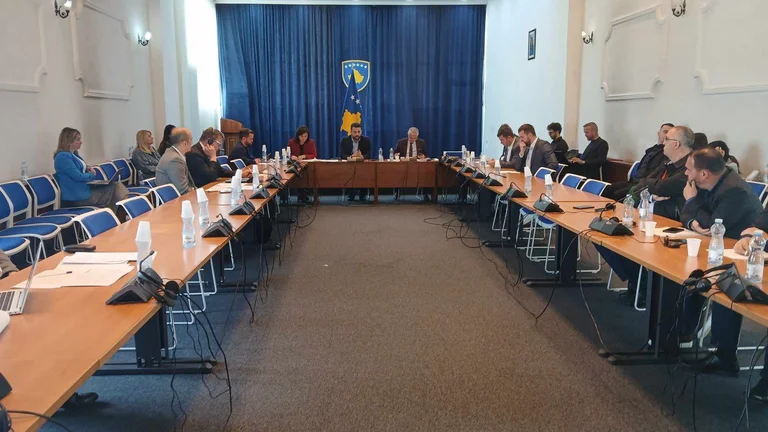 Representatives of people with special needs ask the Commission to be provided for transport