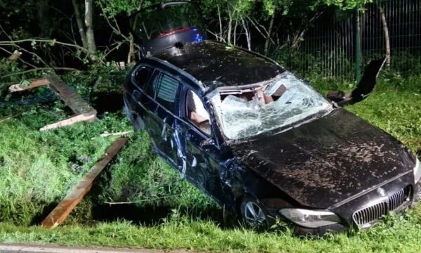 Heavy accident in Germany, five injured by the tree crash