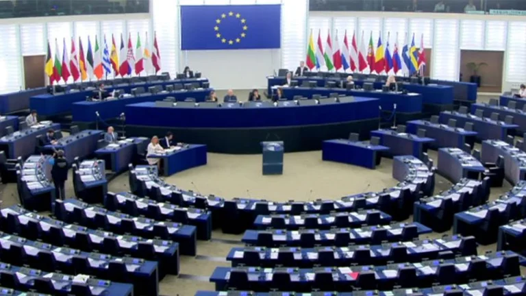 Warum sind die Europawahlen wichtig?