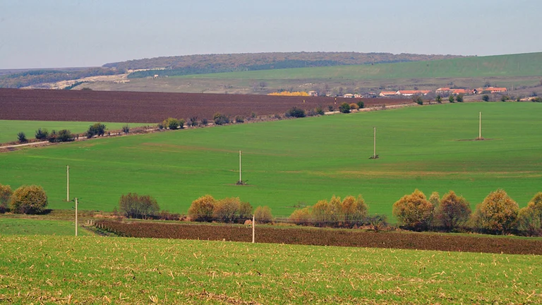 Aktakuze gegen 18 Beamte und Landwirte für Subventionen