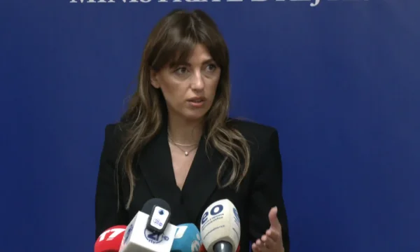 Haxhiu: Aujourd'hui, il est fait mention d'un groupe de travail sur la violence familiale, non défini.