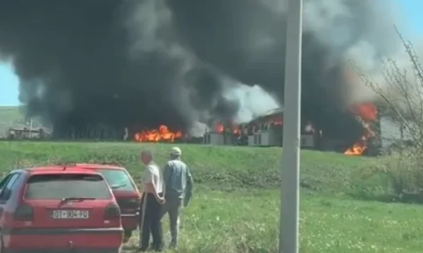 Gran fuego en Podujevo quema una fábrica de hongos