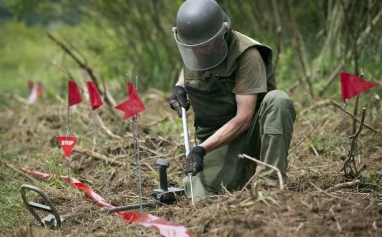 Il motivo per cui KSF gli sta dando nessun record di diploma ucraino