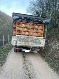 In two separate cases, police prevent smuggling 750 chickens from Serbia