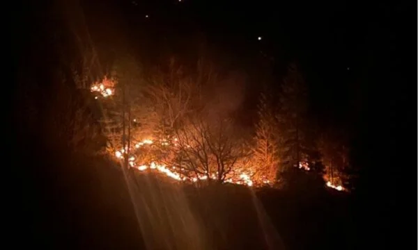 Mountains in Rugova of Pec were involved last night by fire