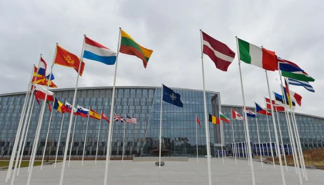 NATO membership: MPJD doesn't show what's going on