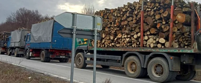 Quatre camions en bois ont été arrêtés, falsifiés leurs documents de transport