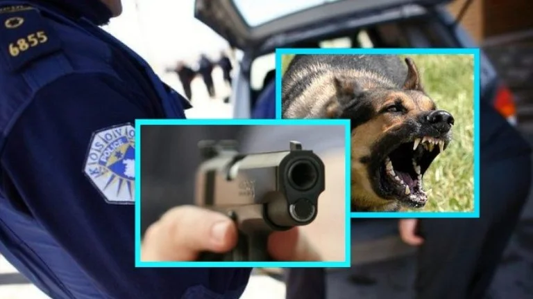 Policia vret një qen te ‘Kodra e Trimave’, sulmoi policët dhe një person tjetër