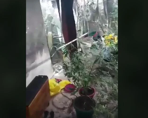 Distruggere un laboratorio di droga, arrestare una persona