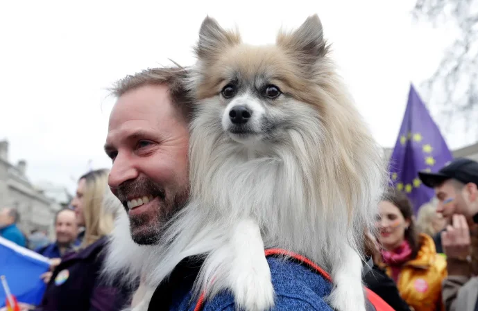 Selon une nouvelle étude, la barbe des hommes est plus sale que les cheveux de chien