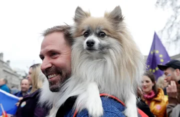 Nach einer neuen Studie ist Männer Bart schmutziger als Hundehaar