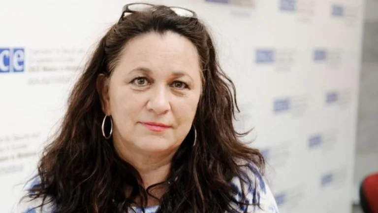 Brush: Vetëperceptimi i Vuçiqit si president i ‘botës serbe’ nuk i kontribuon dialogut