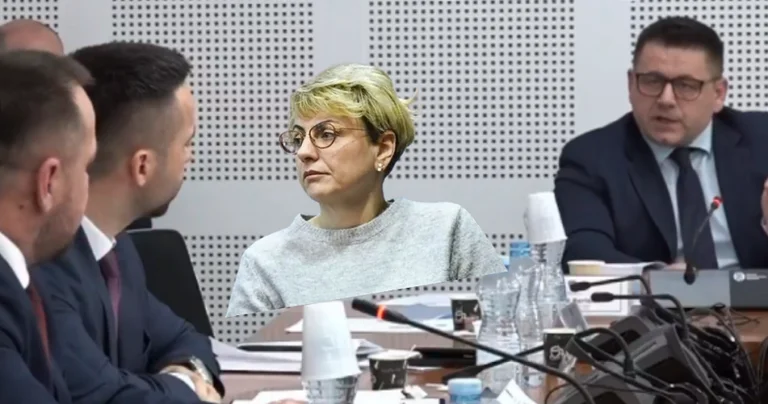 “Mendova që t’ka mbetë ndonjë grimë UÇK” – Berisha e “shpartallon” Maqedoncin në lidhje me takimin që e kishte pasur me Dejona Mihalin