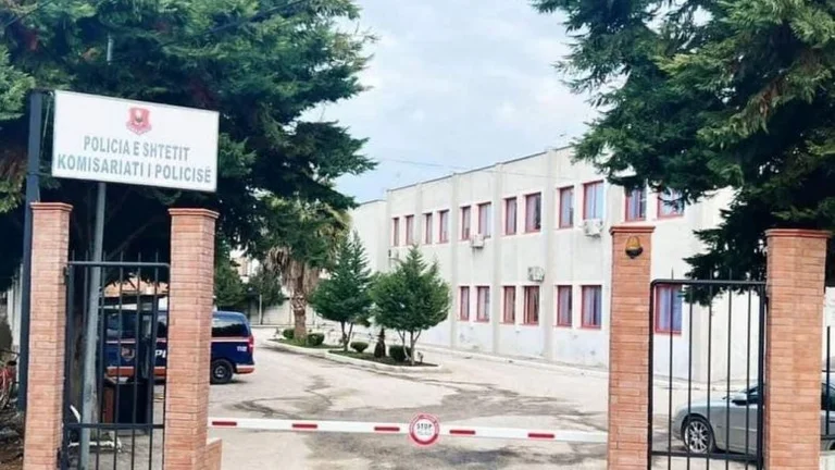 Djali vret nënën në Rrogozhinë të Shqipërisë, e raportoi si vdekje natyrale