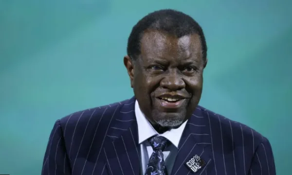 Vdes presidenti i Namibisë, Hage Geingob