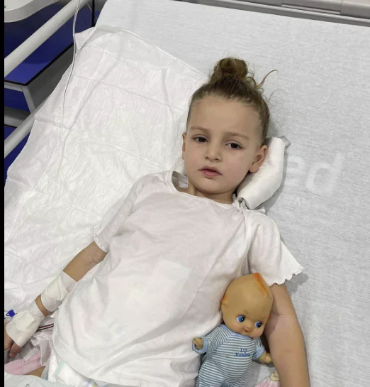 Help Nina: It needs 144,000 euros for recovery