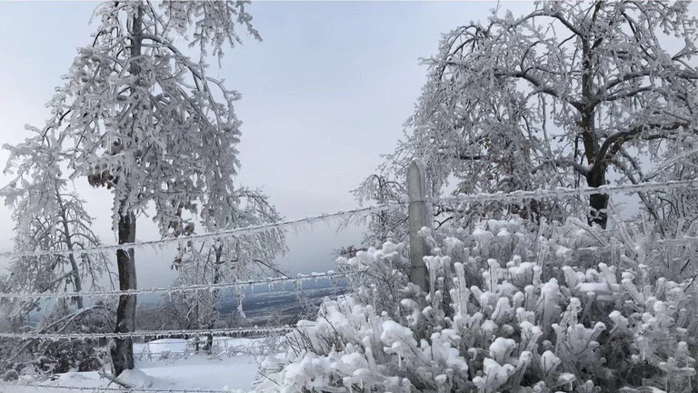Heute bis zu - 13 Grad Fahrenheit [13 ° C]